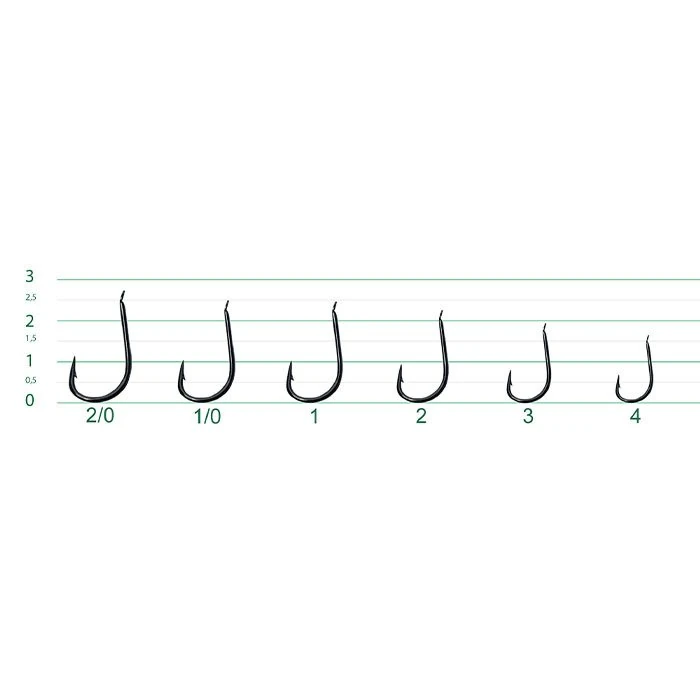 Text